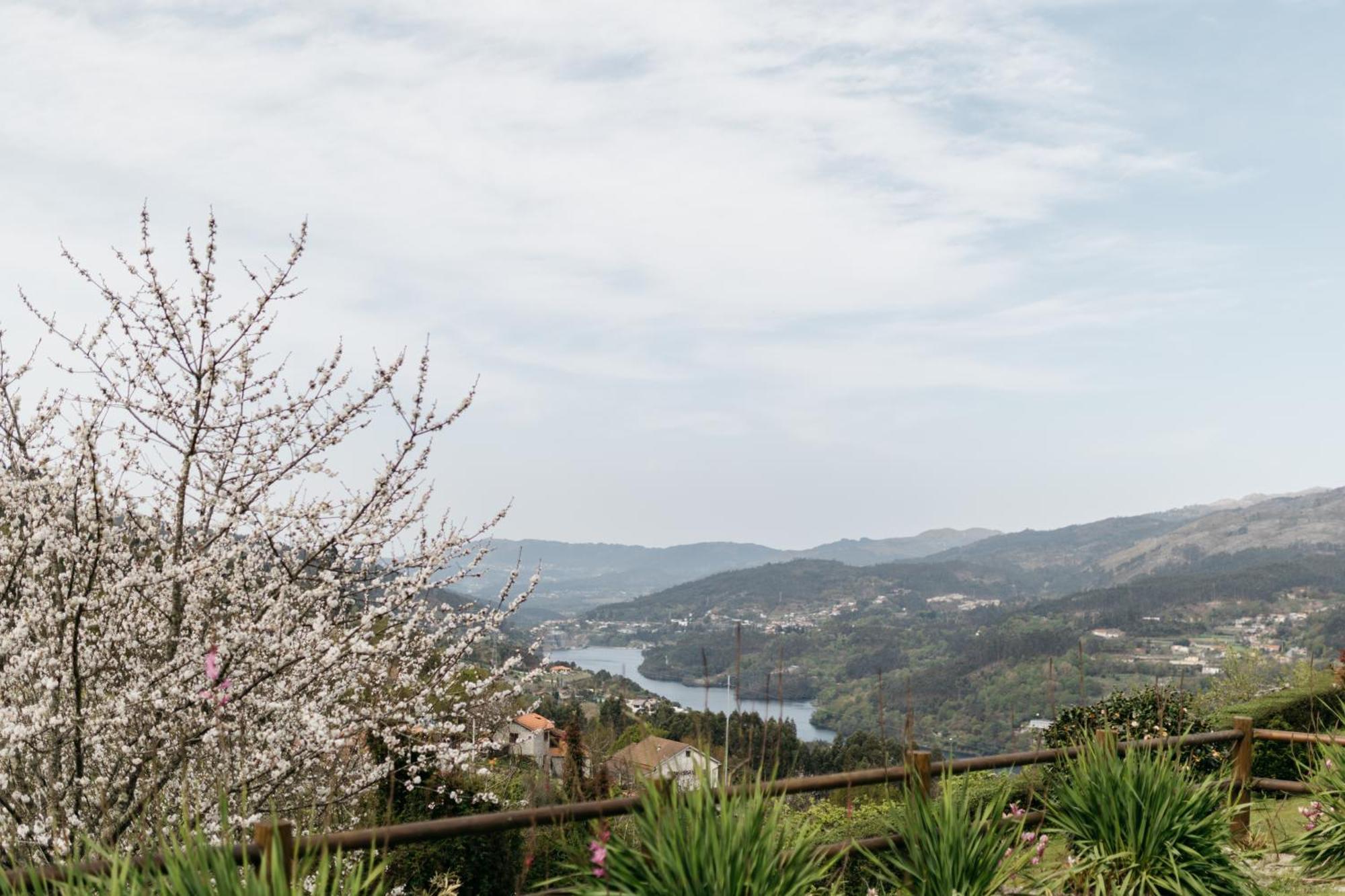 Quinta Do Bento Hotell Vieira do Minho Eksteriør bilde